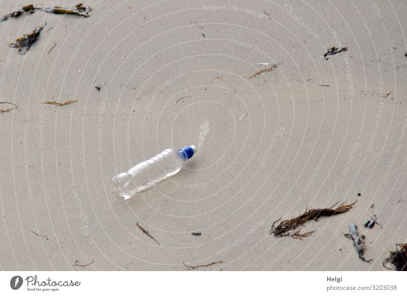 discarded plastic bottle lies on the sandy beach Environment Nature Sand Summer Algae Beach North Sea Island Helgoland Bottle Plastic Lie Authentic Blue Brown