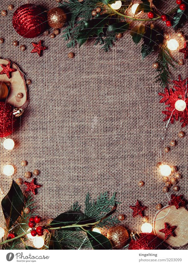 christmas decoration Design Decoration Feasts & Celebrations Christmas & Advent Fir tree Culture Red Gold Glittering Fairy lights mistletoe branch
