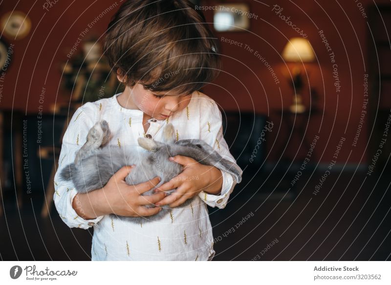 Charming boy with furry bunny Boy (child) Hare & Rabbit & Bunny Delightful Animal Cute Pet Child Happy Infancy Friendship Hold Considerate Innocent Purity