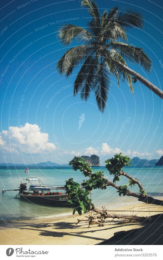Tropical beach with palms and boat floating Beach Watercraft Thailand Picturesque Ocean Vacation & Travel Landscape Paradise Float in the water Tourism Idyll