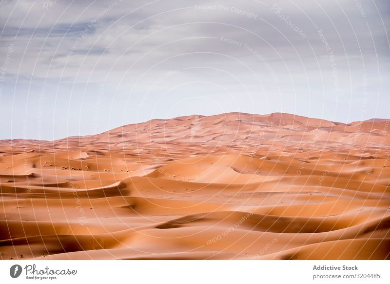 Beautiful scene of large space of dune sandy land, Sahara against a cloudy  sky on a sunny day Stock Photo by wirestock