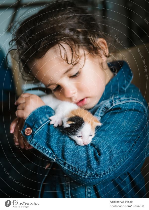 Cute little girl holding tenderly kitten Girl Kitten Hold Toddler Delightful Flat (apartment) Cat Pet Small Infancy Child Considerate Love Affectionate Innocent