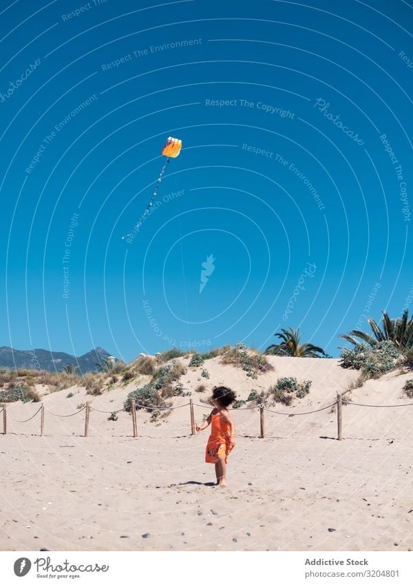 Toddler girl playing with kite on sandy beach Girl Kite Beach Playing Sand Small Child Woman Flying Blue sky Running seaside Vacation & Travel Summer Infancy