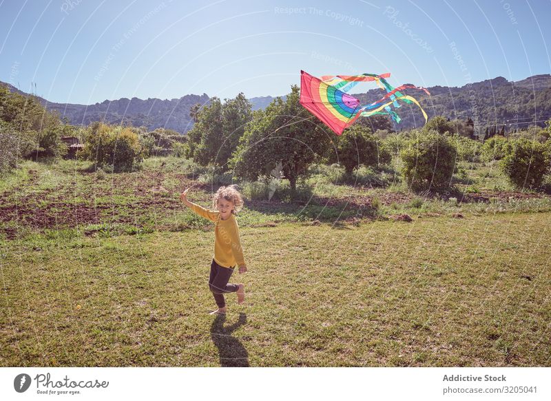 Boy launching kite on summer day Boy (child) Kite Sky Joy Infancy Playing Flying Landscape Child Small Human being Action Playful Easygoing Recklessness