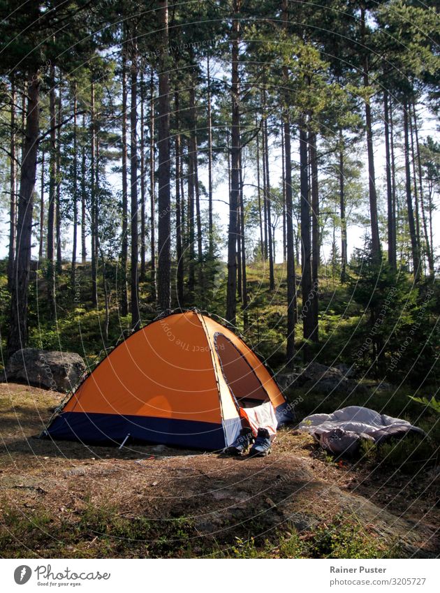 Camping in the forest Lifestyle Summer vacation Mountain Hiking Beautiful weather Forest Sweden Tent Hip & trendy Brown Green Orange Attentive Adventure