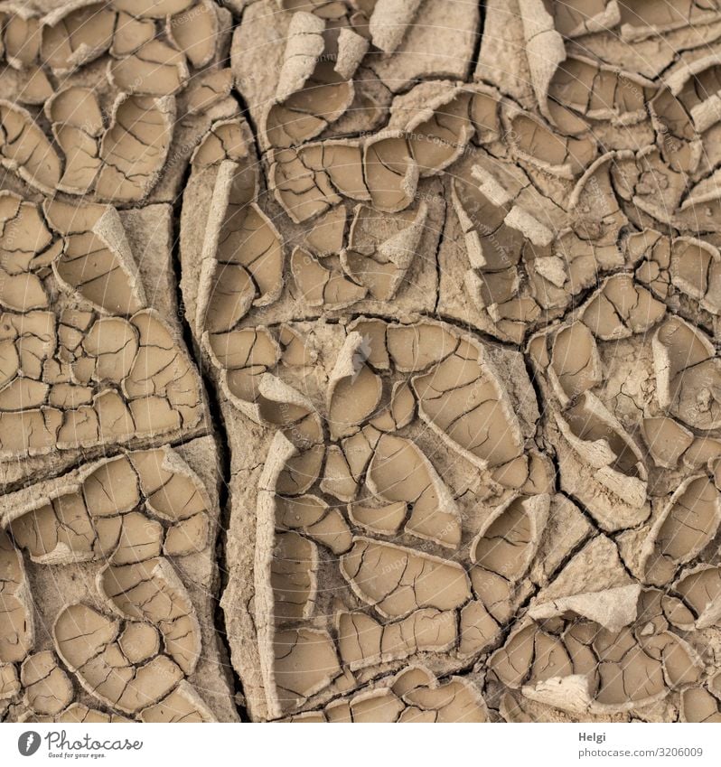 arid soil in drought caused by climate change Environment Nature Earth Summer Warmth Drought Field To dry up Authentic Exceptional Natural Dry Brown Emotions