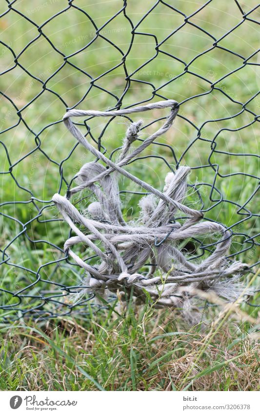 Old string, rope wrapped in the broken fence, wire mesh fence to patch a hole, in front of a meadow in nature, on a cattle pasture. Fence Meadow Grass Green
