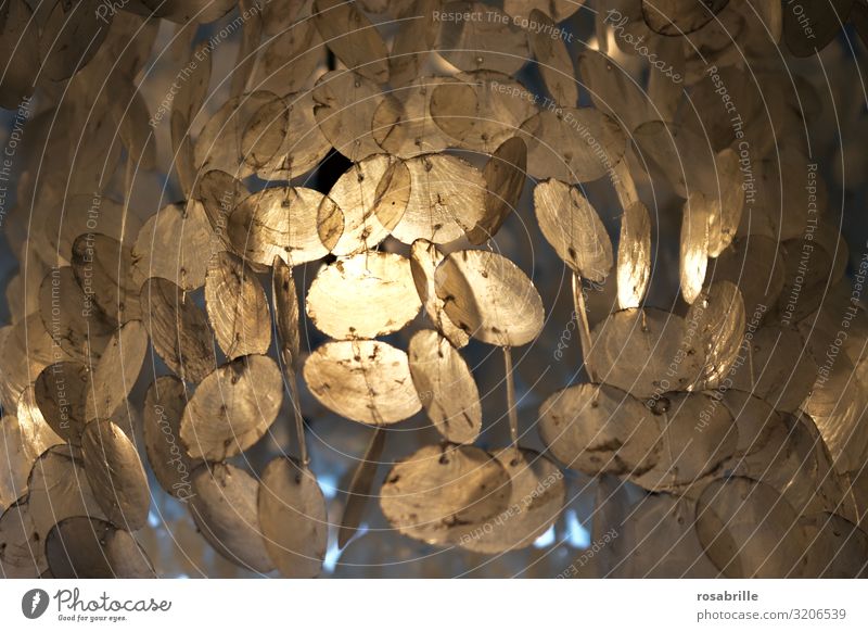 Light play suspended mother of pearl circles | Trash 2020 Mother-of-pearl slices Wind chime Visual spectacle Lighting Glimmer shape structures Abstract