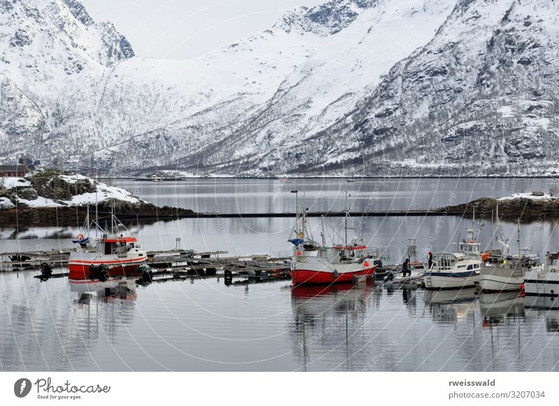 Fishingboats-floating pontoon. Sildpolltjonna-Lofoten-Norway-130 Food Seafood Vacation & Travel Tourism Trip Sightseeing Ocean Island Winter Snow