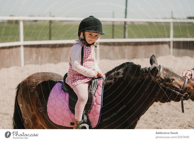 Little girl riding horse on hippodrome sport ride racetrack equestrian child practice childhood learn kid adorable little jockey rural happy animal horseback