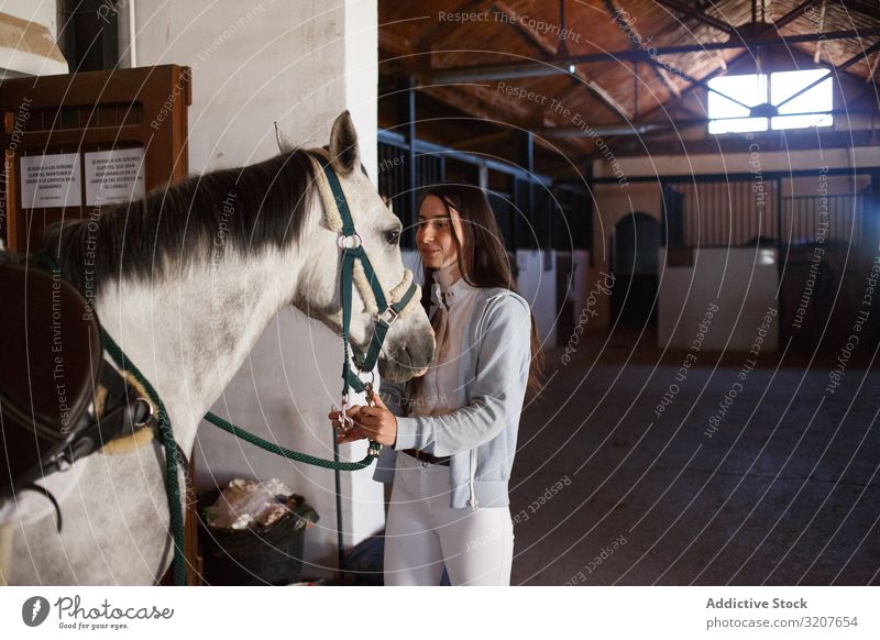 Girl with adorable pony in hat teenage girl stable animal child embrace friend pet childhood countryside stroke little cute charming kid farm happy lovely brown