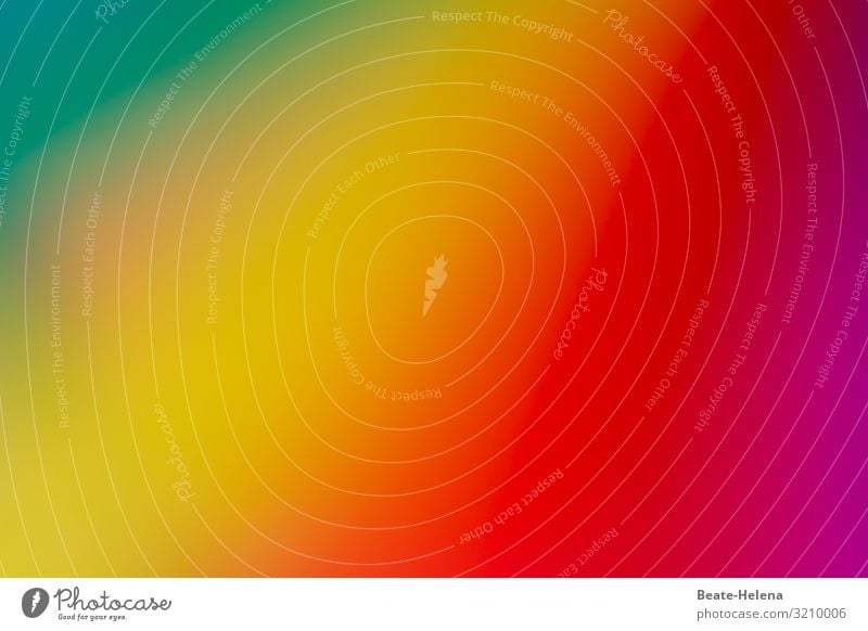 Quite colorful 3 variegated colourful Abstract Play of colours Multicoloured motley colors Creativity Colour palette Design