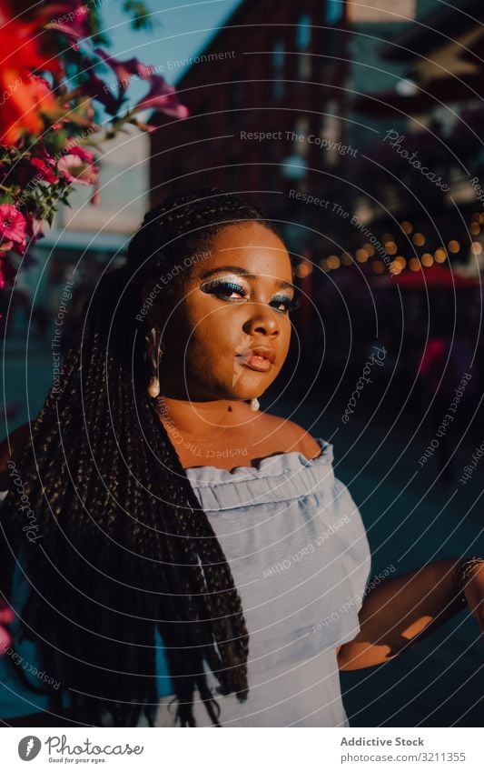 Joyful trendy African American woman standing beside blossomed tree joyful stylish sunshine modern content attractive vibrant sunset african american black