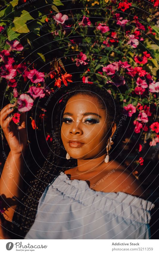 Joyful trendy African American woman standing beside blossomed tree joyful stylish sunshine modern content attractive vibrant sunset african american black