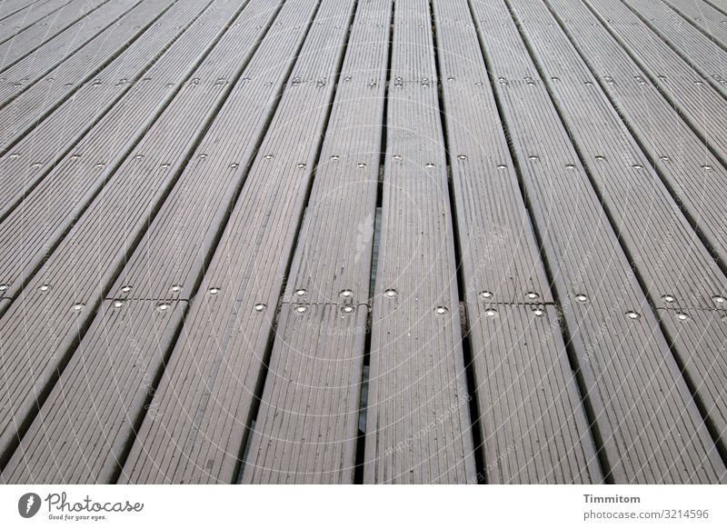 On the pier Vacation & Travel Tourist Attraction Sea bridge Wood Metal Line Esthetic Simple Brown Gray Emotions Footbridge Floorboards Baltic Sea Places Empty