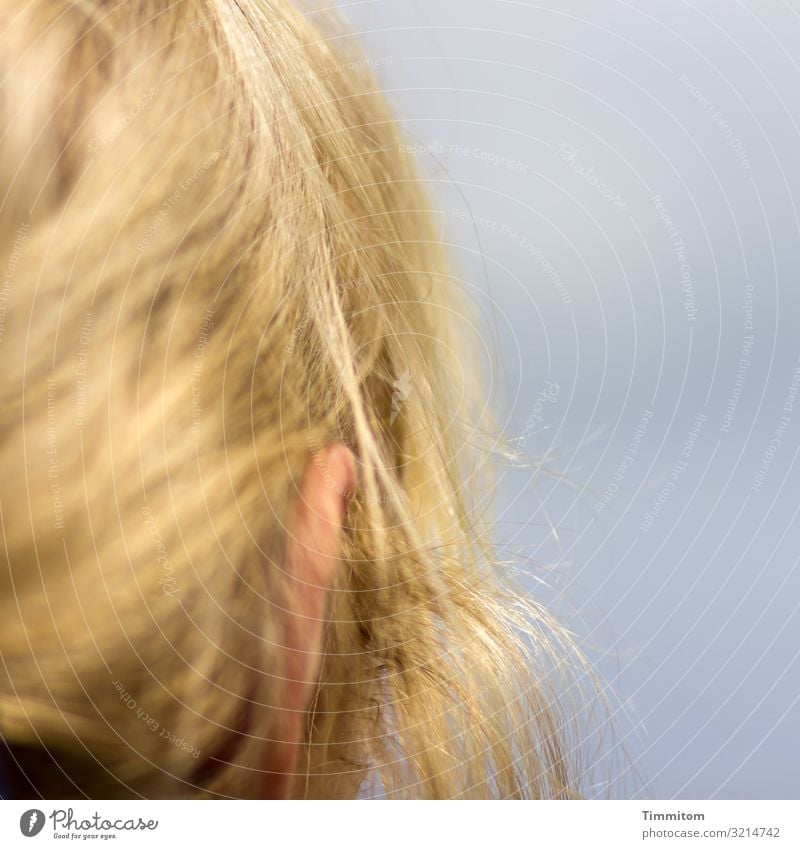 Look how she looks (2) Head Woman Hair and hairstyles Blonde Close-up Sky Ear Feminine Human being Day