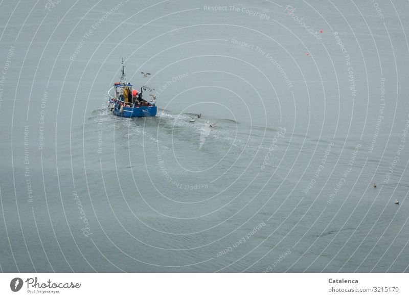 A small blue fishing boat goes out in the early morning Profession Fisherman Fishery Workplace Ocean Sea water Masculine 1 Human being Environment Water Winter