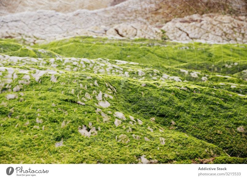 Stony hill covered with moss hillside stone surface countryside green growth wet grass rough rock formation geology nature harmony idyllic picturesque slope