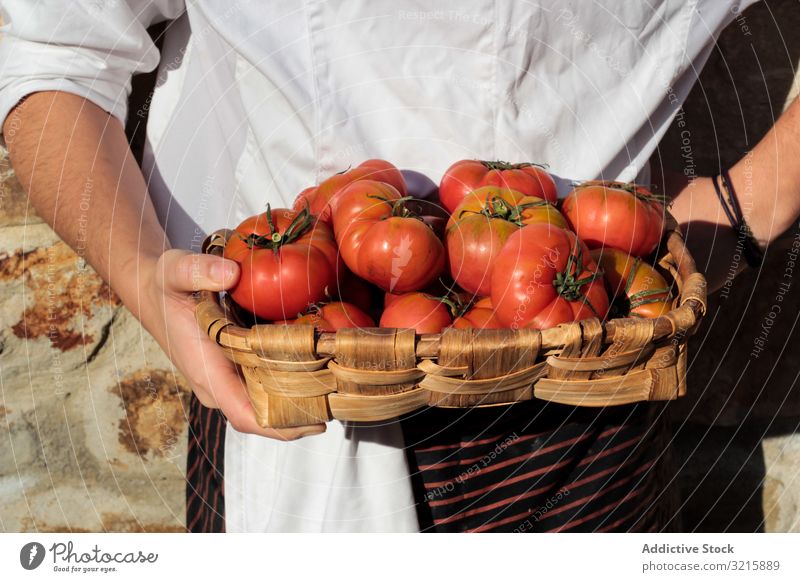 Shiny ripe tomatoes in brown wicker basket hands vegetarian food shiny organic vegetable raw fresh natural freshness whole bright juicy harvest delicious