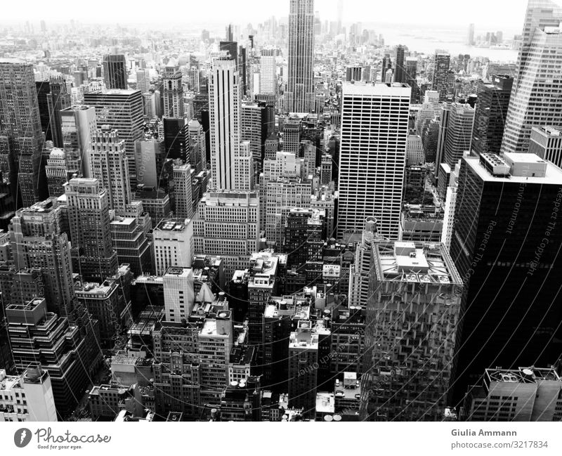 New York Skyline on a summer day - View from Rockefeller Art Manhattan USA Small Town Downtown Populated Bank building Building Architecture Roof Esthetic