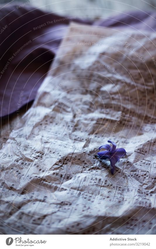 Small flower on sheet music crumpled violet vintage elegant artistic detail element small tiny retro used bloom blossom flora harmony idyllic creative tune note