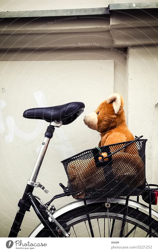 lover Leisure and hobbies Cycling tour Bicycle Transport Means of transport Toys Teddy bear Sit Wait Small Cute Brown Infancy Safety Bear Basket In transit