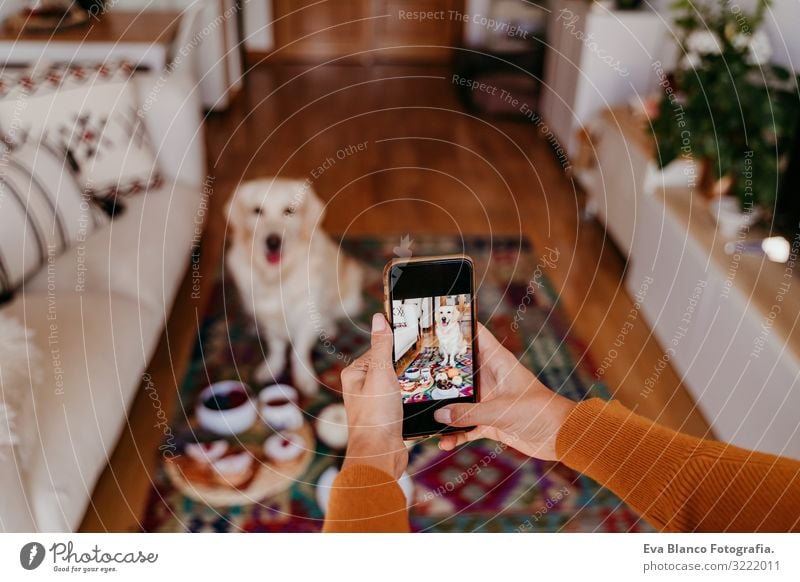 young caucasian woman taking a picture of her golden retriever dog with mobile phone. Home, indoors Woman Dog Illustration Cellphone PDA Technology Take