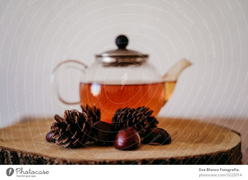 teapot with tea on a wood table. pineapples and chestnuts besides. Morning, daytime. Autumn season Teapot Chestnut Pineapple Brown Interior shot Deserted Home