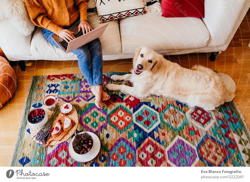 young woman working on laptop at home. cute golden retriever dog besides. healthy breakfast time. technology and lifestyle indoors Notebook Technology