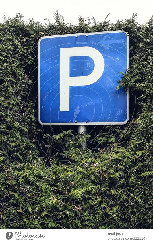 Long term parking Hedge Germany Transport Traffic infrastructure Road sign Parking lot Sign Characters Stand Wait Simple Nerdy Blue Green Watchfulness