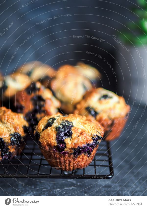 Homemade blueberry muffins on cooling rack over dark background. low calories homemade blueberries muffins nobody vertical copy space copy space top food
