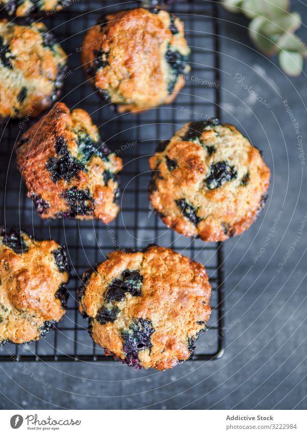Homemade blueberry muffins on cooling rack over dark background. low calories homemade blueberries muffins nobody top view vertical food dessert cake snack