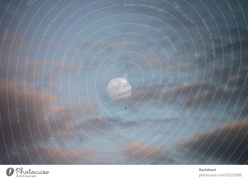 bleak prospects Vantage point Moon Sky Clouds Full  moon Night sky Dark Nature Deserted Exterior shot Moonlight Light Colour photo Moody Illuminate Environment