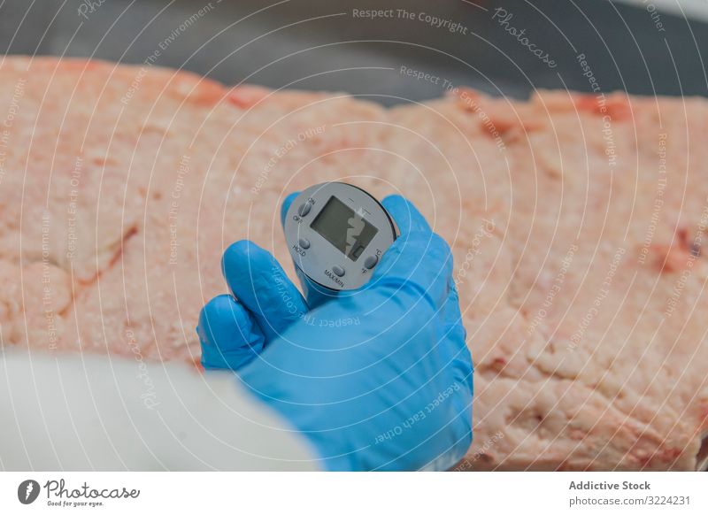 Inspector checking condition of meat with digital measuring device in hand measure quality slaughterhouse analyze inspector data workplace screen fresh uncooked
