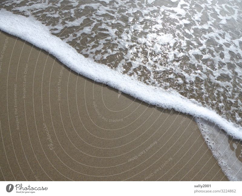 Longing for the sea... Sand Beach Ocean Movement Fluid Glittering Relaxation Waves Surf Sandy beach Foam White crest Calm Meditation Coast Splashing