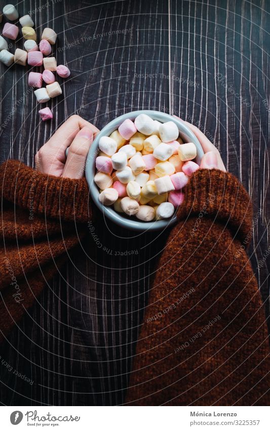 Woman holding a cup of hot chocolate with marshmallows. Dessert Winter Decoration Adults Hand Sweater Hot Soft Yellow Pink White Colour Sugar mug sweet gummy