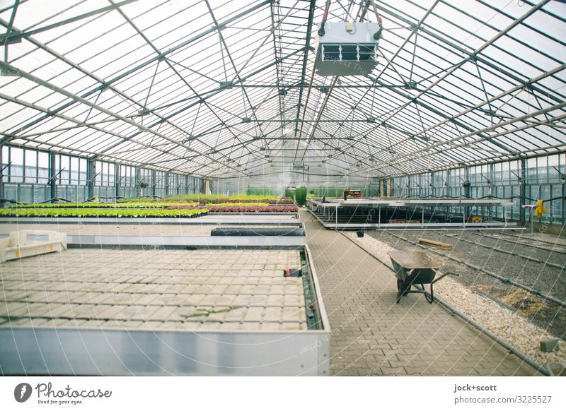 in the glass house you shouldn't throw stones! Horticulture Agricultural crop Greenhouse Construction Wheelbarrow Air conditioning Plant preservation Growth