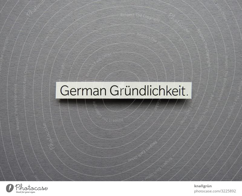 German thoroughness. Characters Signs and labeling Communicate Success Sustainability Gray White Emotions Dependability Prompt Conscientiously Diligent
