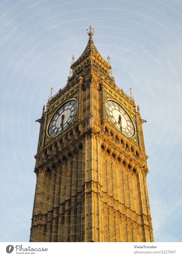 Big Ben: spire with clock from frog's perspective in golden evening light London Vacation & Travel Tourism Clock Capital city Downtown Tower Manmade structures