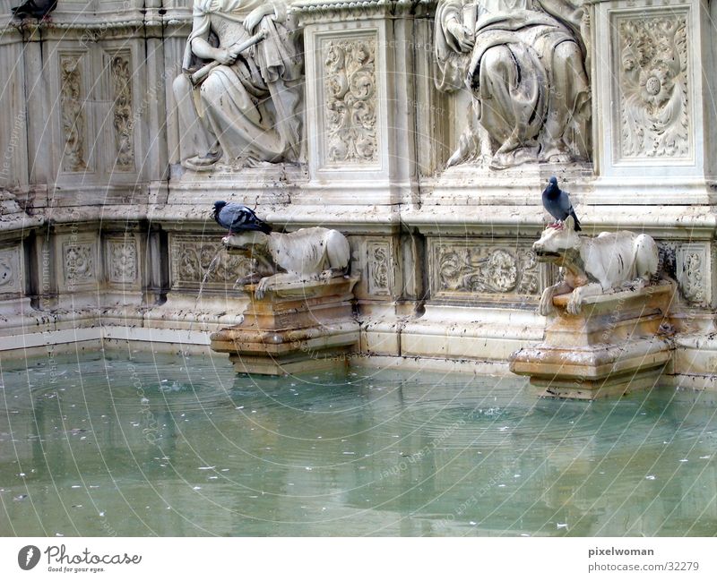 Fountain [wolf] Landmark Wolf Well Italy Architecture Old
