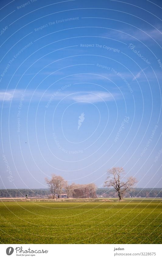 minimalist spring. Agriculture Forestry Environment Nature Landscape Plant Earth Sky Horizon Spring Beautiful weather Tree Grass Meadow Field Simple Natural