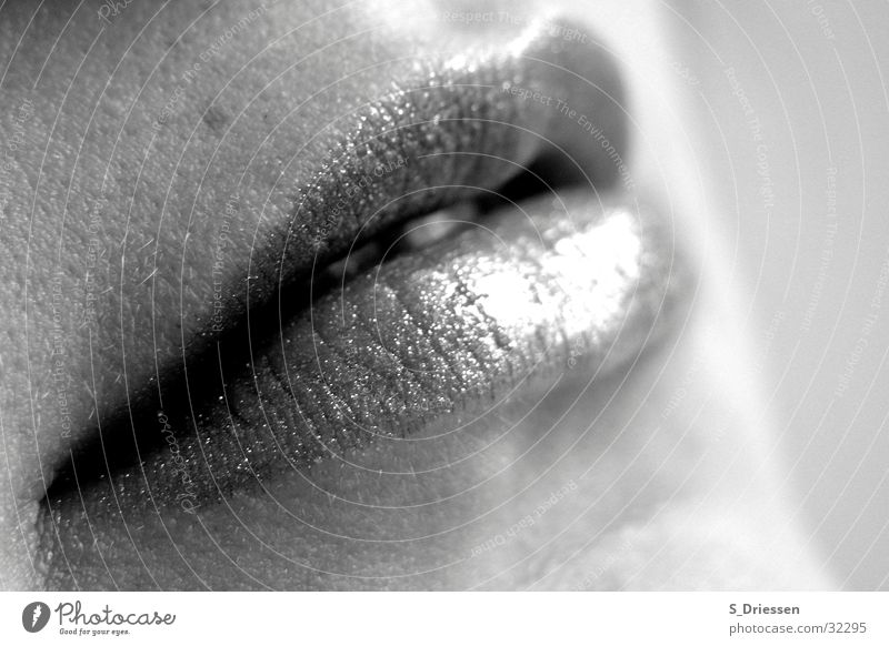 Lips #2 Detail Lipstick Feminine Woman Adults Mouth Glittering Black White Lipgloss Glamor Corner of the mouth Full Mole