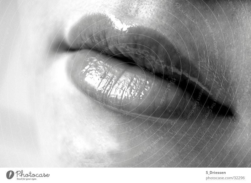 lips Detail Lipstick Feminine Woman Adults Mouth Glittering Black White Lipgloss Glamor Corner of the mouth Full