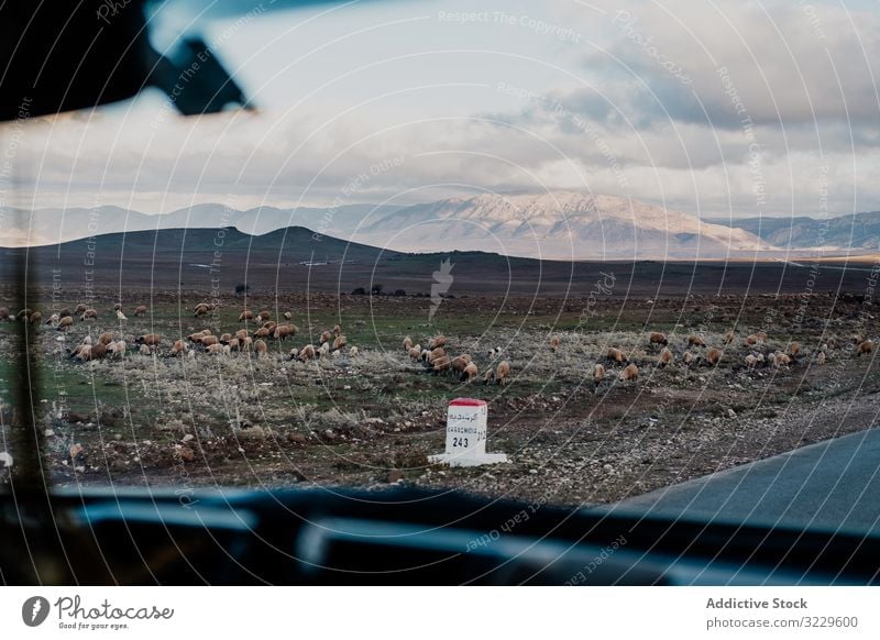 Road trip on cloudy day road vehicle sky hill plain morocco africa weather nobody car window vacation journey travel tourism auto transport windshield