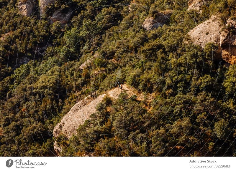 Hikers walking on the mountain canyon route healthy explorer tourists sport catalonia tourism green tree active outdoor sunlight altitude high europe mountains