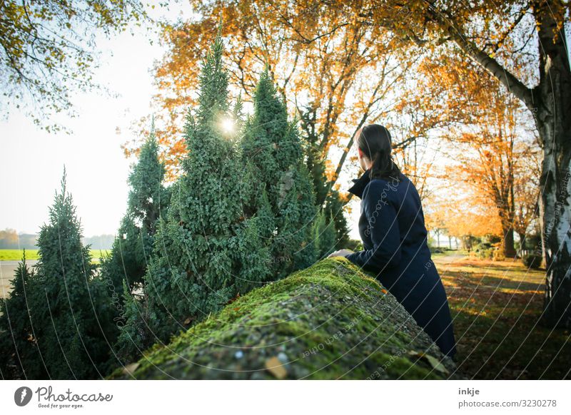 cemetery wall Lifestyle Leisure and hobbies Young woman Youth (Young adults) Woman Adults 1 Human being 18 - 30 years 30 - 45 years Nature Landscape Sun Sunrise