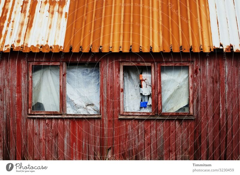 Quite stable and closed Vacation & Travel Fishery Denmark Fishermans hut Facade Window Roof Wood Glass Metal Plastic Old Dirty Blue Red White Emotions