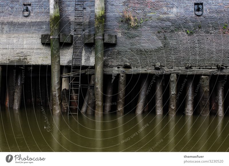 Wooden beams, foundation in canal, Fleet Construction site Bad weather Rain Hamburg Port City House (Residential Structure) Manmade structures Building