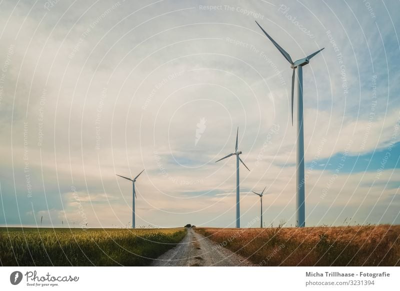 Windmills in the field Agriculture Forestry Energy industry Technology Advancement Future Renewable energy Wind energy plant Nature Landscape Sky Clouds