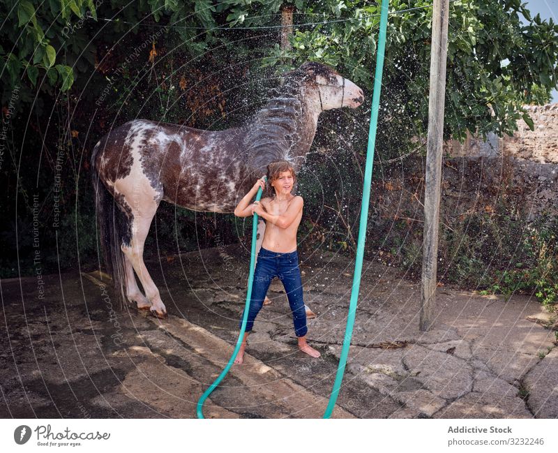 Child caressing and washing horse in summer boy farm child stallion barefoot hose countryside love ranch water vacation splash hobby holiday rider summertime